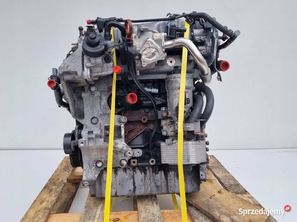 SILNIK KOMPLET Audi A3 II 8P 20 TDI 140 166 CBA Janów
