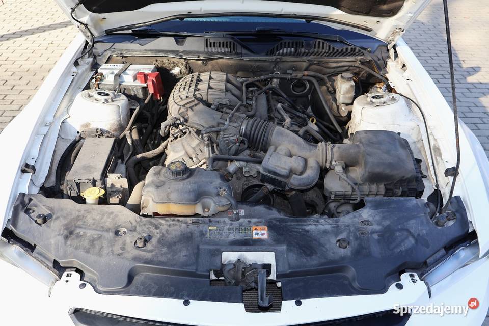 Ford Mustang ogłoszenie prywatne