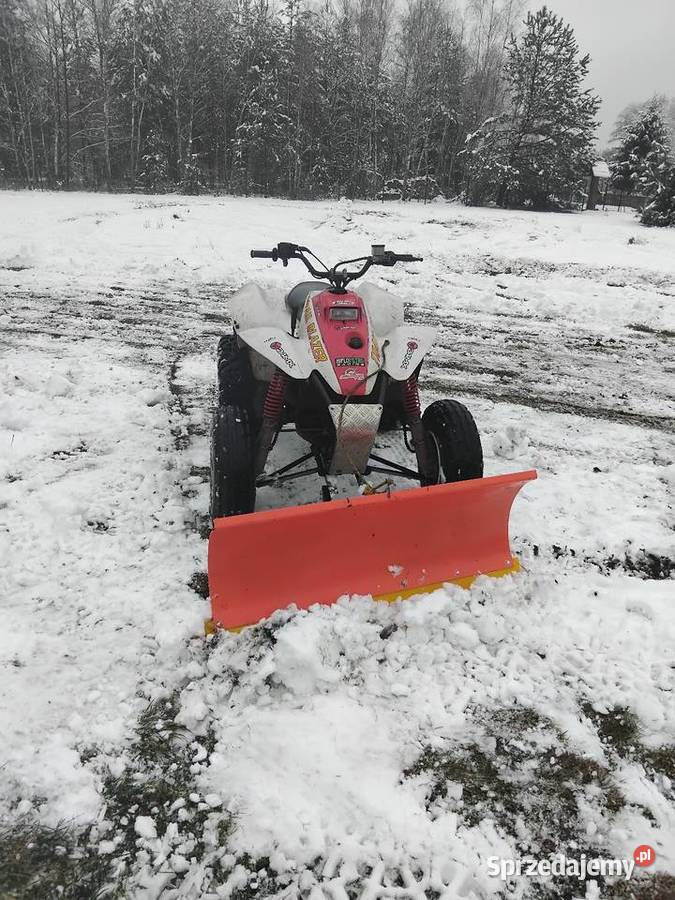Polaris trailblazer 250 metalic Biłgoraj sprzedam