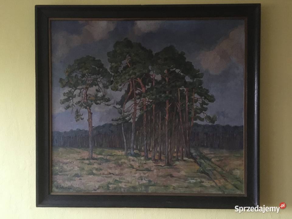 Obraz na płótnie las 101x111 Szczecin