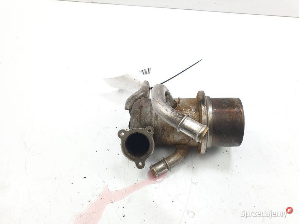 CHŁODNICZKA SPALIN SKODA OCTAVIA III 04L131512D osobowe