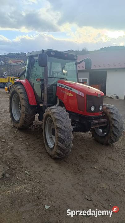 Massey Ferguson 5460 małopolskie Stary Sącz