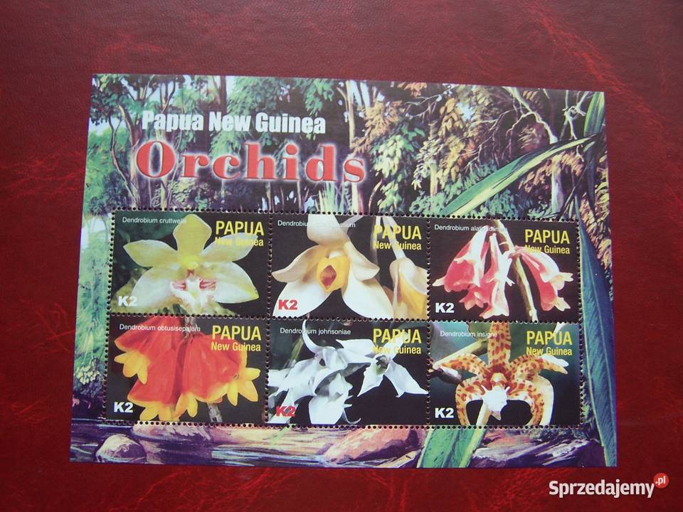Papua Nowa Gwinea 2004 MNH Flora Kwiaty Orchidee Filatelistyka śląskie Tychy