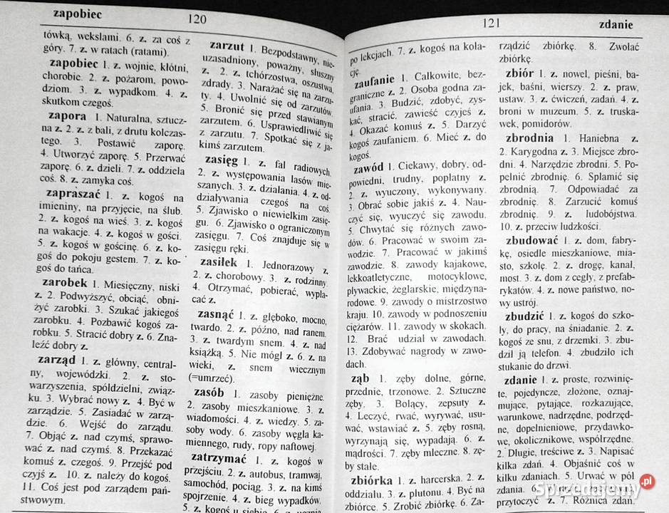 Słownik frazeologiczny szkoły podstawowej sprzedam