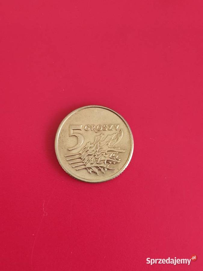 5 groszy 1993r w kapslu ochronnym Lębork