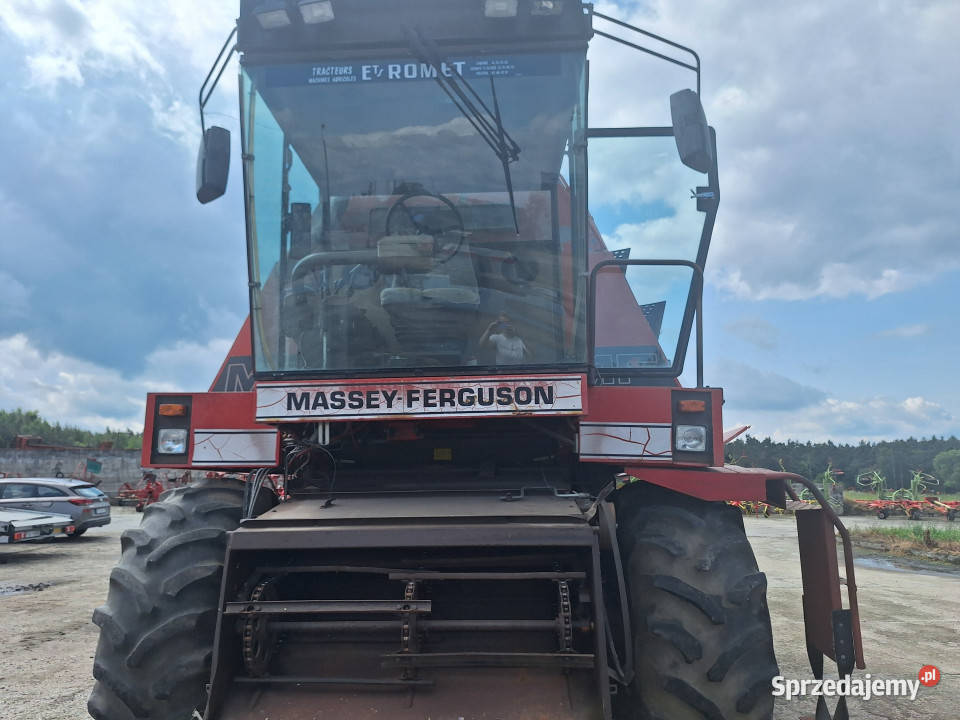 Kombajn zbożowy MasseyFerguson wielkopolskie Szlachcin