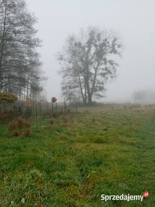 Sprzedam Dzałkę Budowlaną 1000m2 z własną linią 1000m2 Piotrkowo