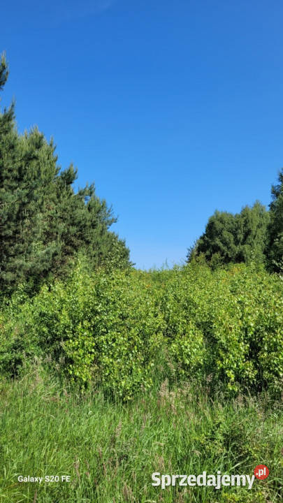 Działka mieszkalno usługowa w Gościcinie 3175m2 Wejherowo