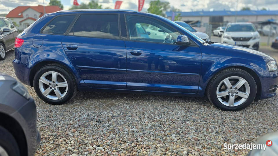 Audi A3 climatronic super stan automat ledy lakier metallic Lębork