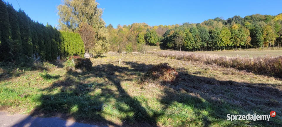 Działka w Pietrzejowicach 10 Krakowa bez poś 2268m2