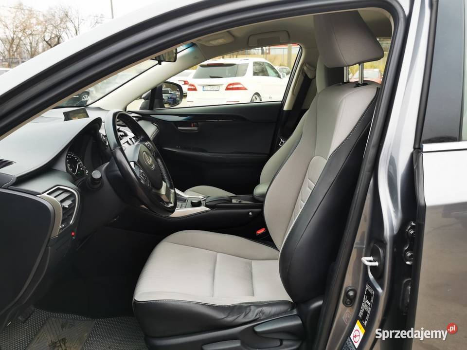 300h Elite AWD 100 BezwypadkowySalon Polska