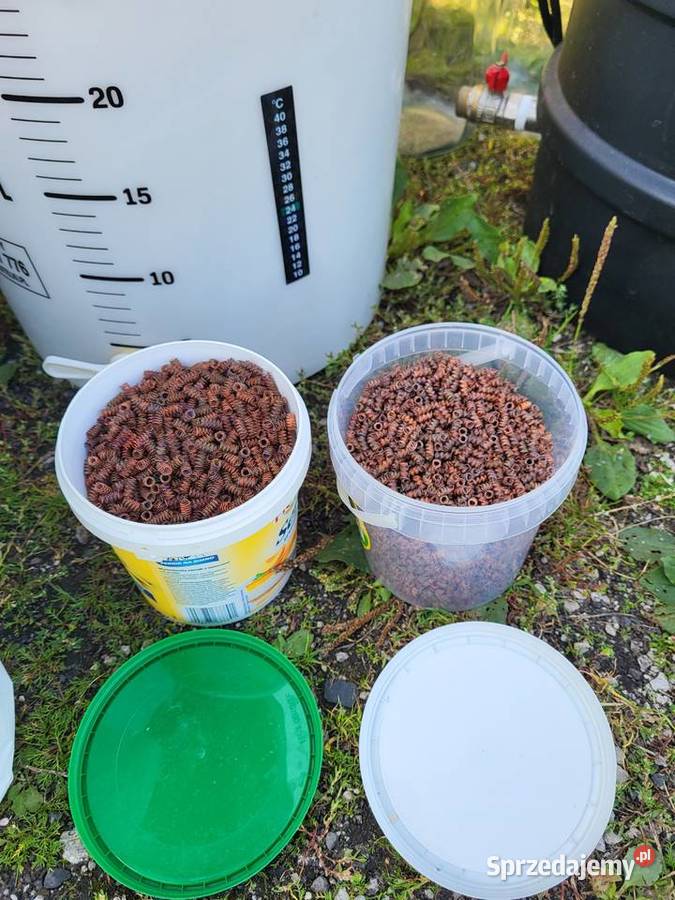 Destylator abratek dodatki Rojewo