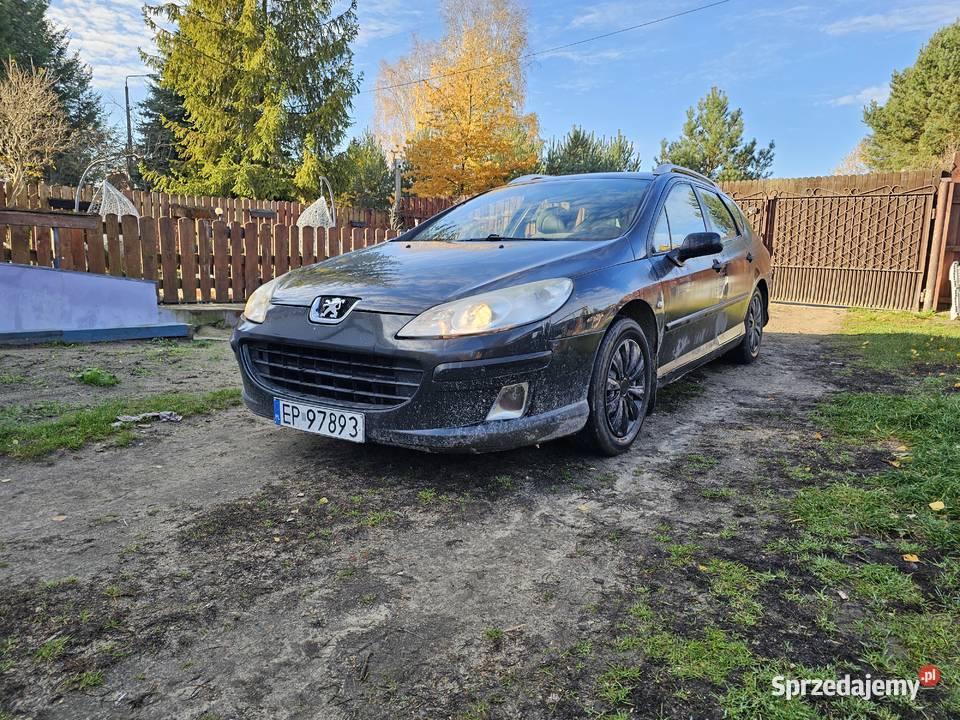 Peugeot 407 18lpg 2005r Zgierz
