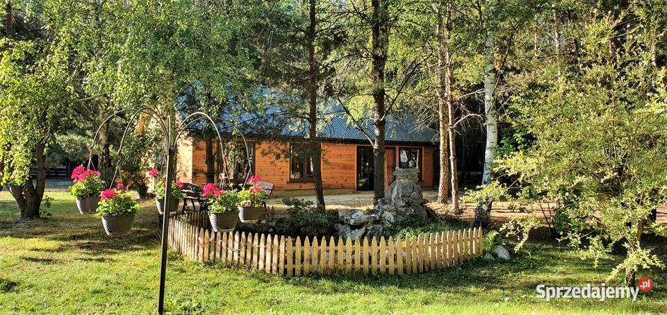 Wynajmę Funkcjonujący Obiekt z kompleksem domków lubelskie Kaczórki