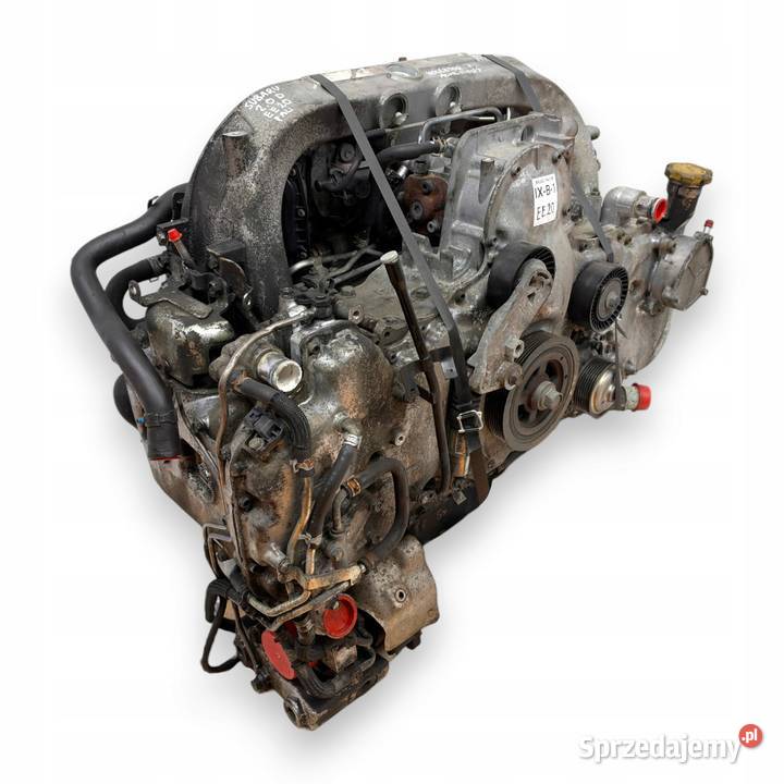SILNIK EE20 EE20Z Subaru Forester III SH Legacy osobowe lubelskie Chełm sprzedam