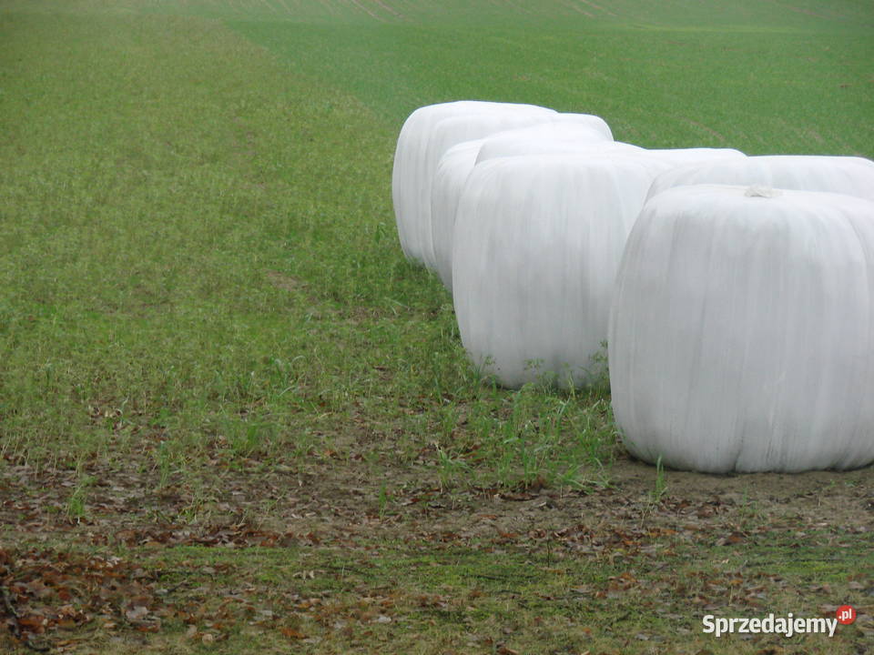 sianokiszonka wielkopolskie Oborniki