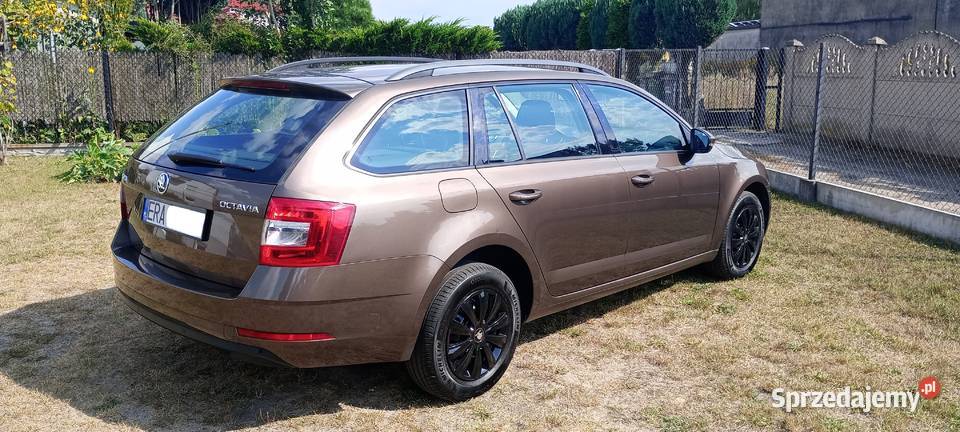 Skoda Octavia 16 TDI 115 2019 Mega Auto łódzkie Radomsko