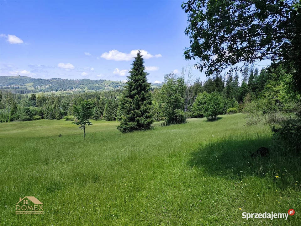 Działka Laliki 1519m2