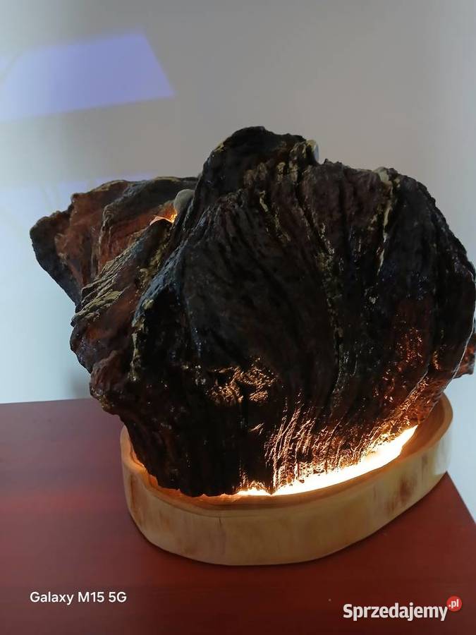 Lampa z korzenia dębu LED Lampy stołowe i nocne Skawina