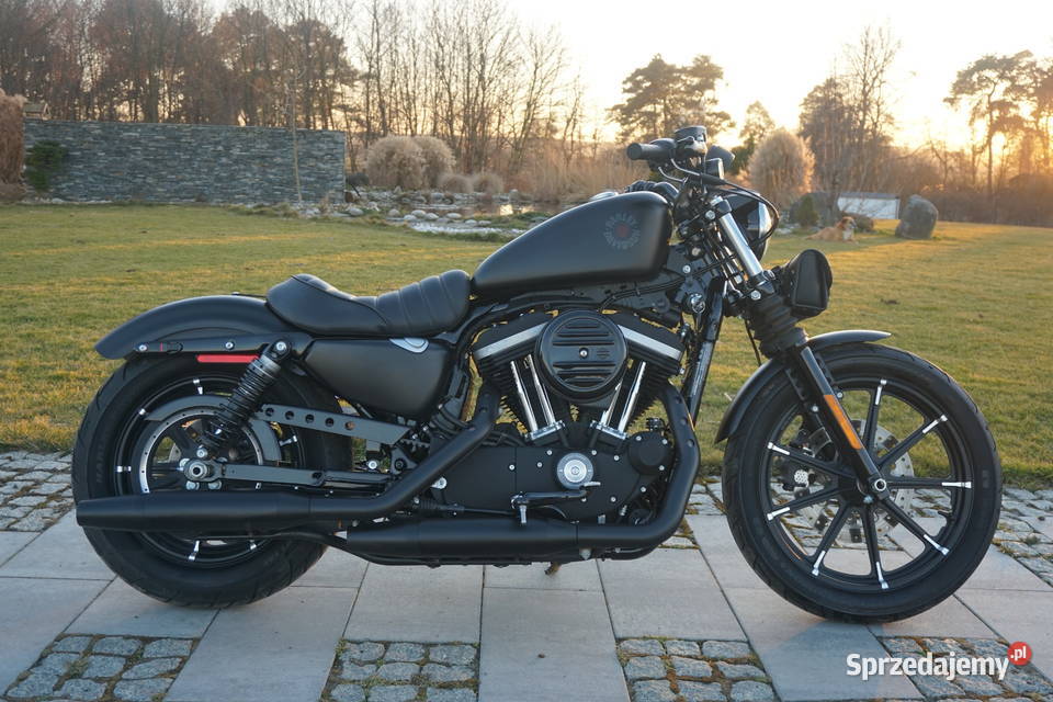 HarleyDavidson Sportster 883 IRON opolskie