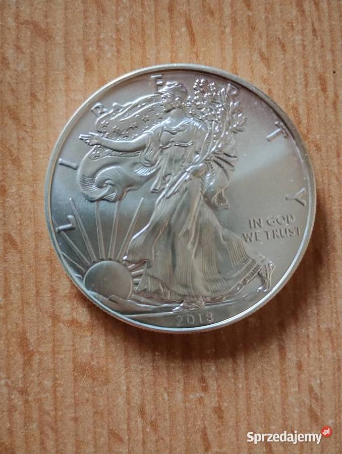 Moneta USA 1 1 oz Silver Eagle 2018 Numizmatyka Rzeszów