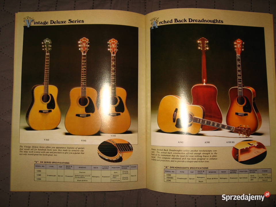 TAMAIbanez Acoustic Guitars katalog gitar Kępice