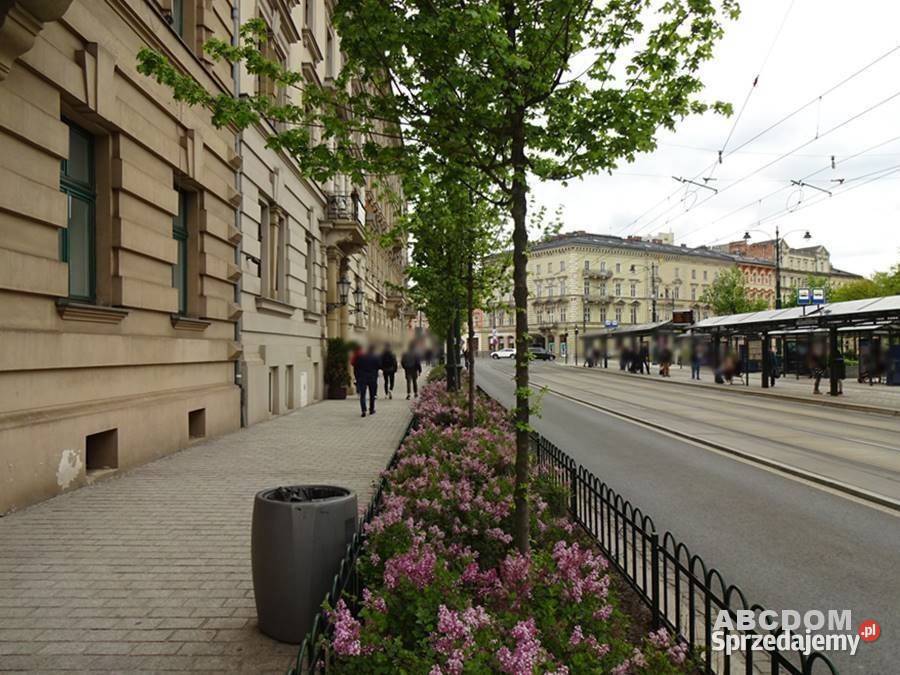 Stare Miasto lokal parter 145m2 kancelaria Nieruchomości Kraków sprzedam