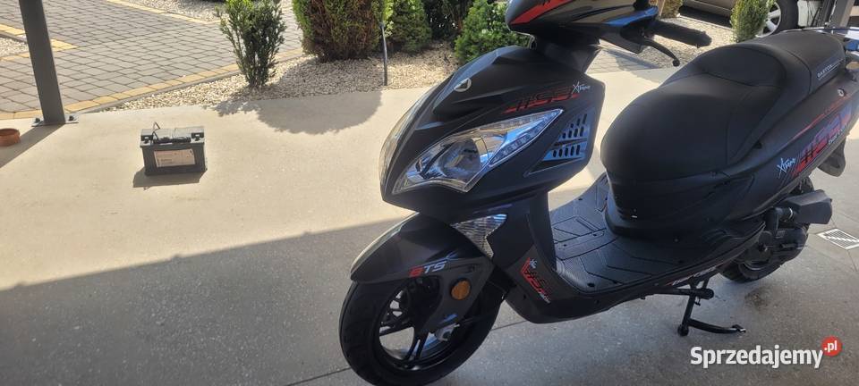 BARTON FALCON XXL Wolica