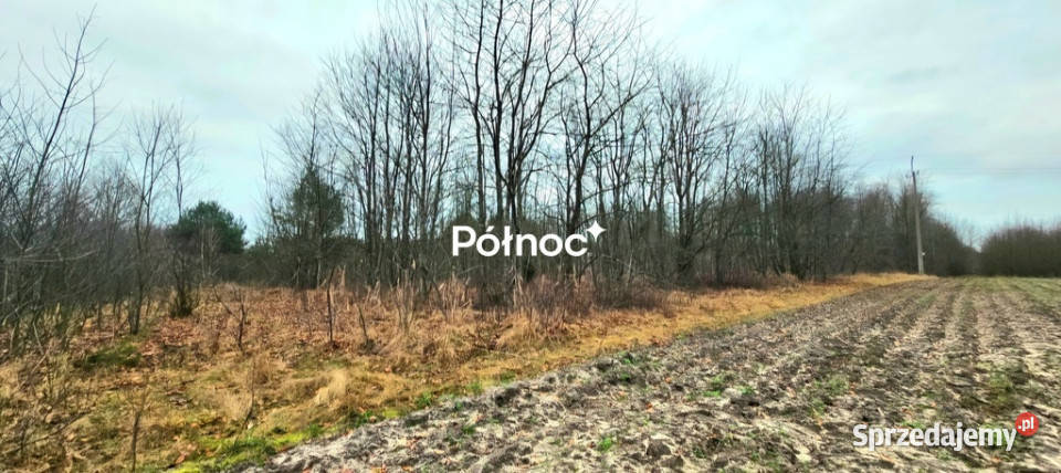 Działka budowlana jeziorem Białym na sprzedaż Okuninka sprzedam