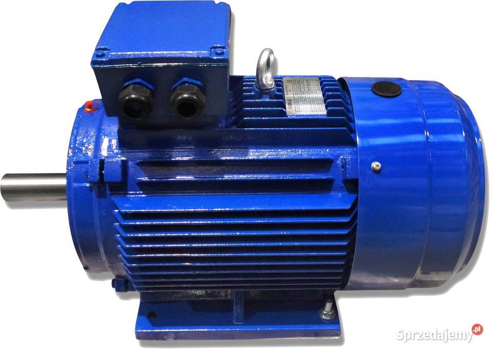 SILNIK ELEKTRYCZNY 185kW 400690V 2940 obr Rolnictwo kujawsko-pomorskie Solec Kujawski sprzedam