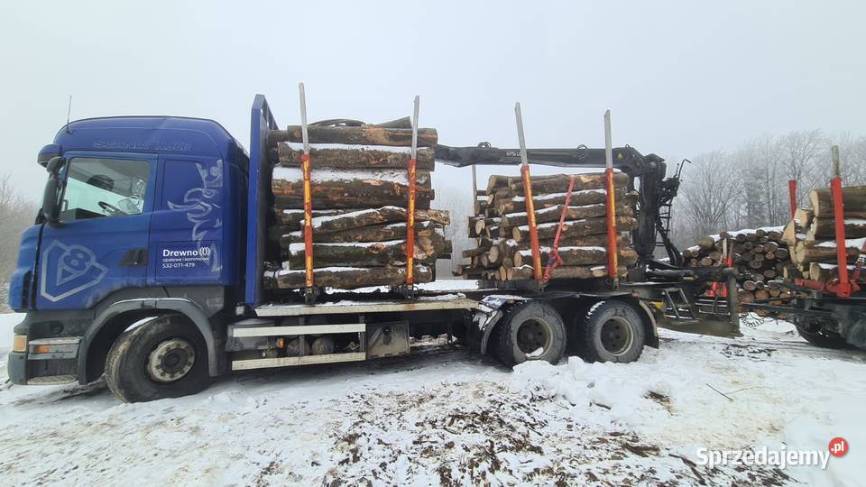 Scania R Scana R560 kłonice HDS przewóz drewna nie Sanok
