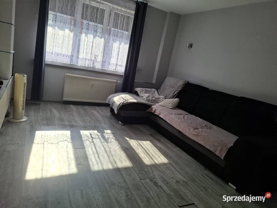 Mieszkanie parter 4747m2 Katowice sprzedam