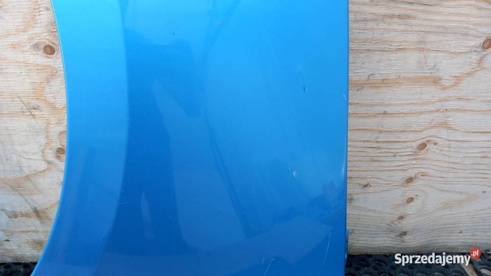 RENAULT SCENIC III LIFT BŁOTNIK PRZÓD LEWY TERBP osobowe Błotniki