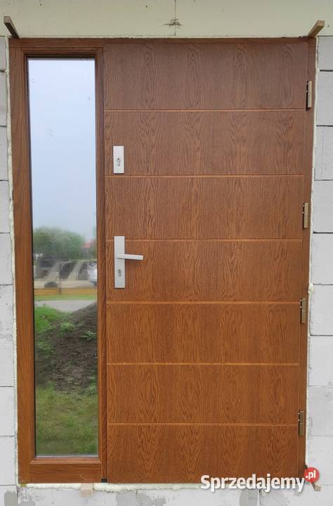 Drzwi Zewnętrzne Wejściowe Drewniane Drzwi wewnętrzne Nasielsk