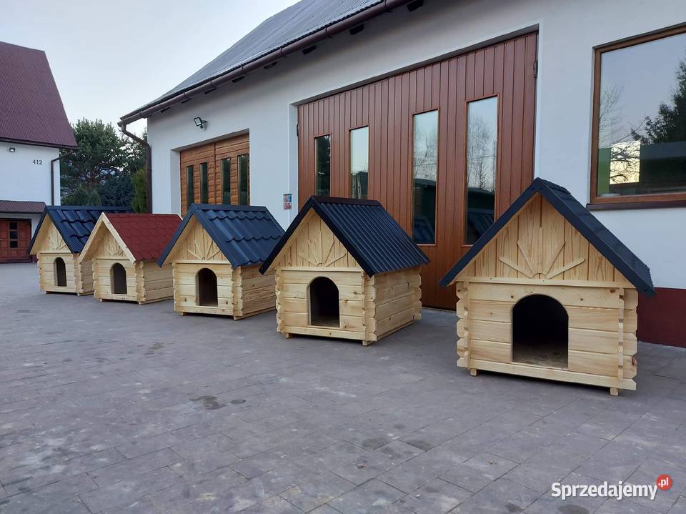 Buda psa góralska małopolskie Limanowa sprzedam