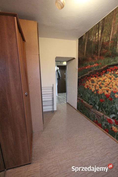 2pok 37met Ołowianej ROZKŁADBALKONPIWNICA dolnośląskie Wrocław