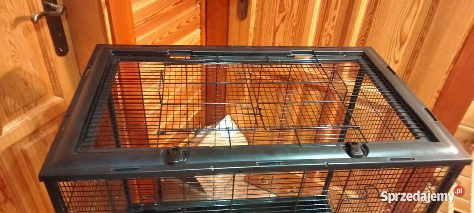 Zolux Klatka Neo Jili H80 Czarna ptaków papugi Białystok