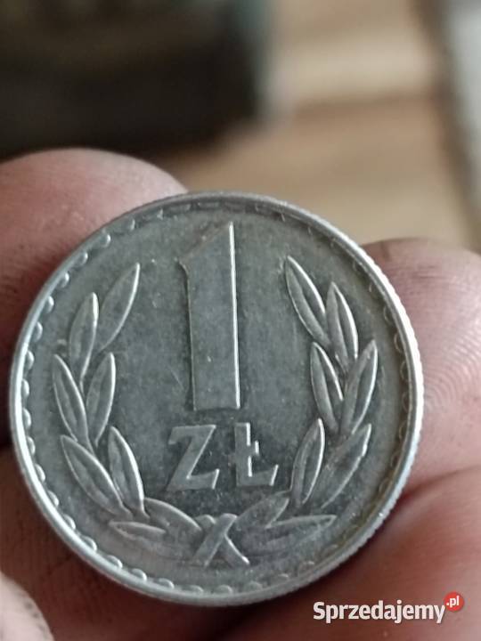 Sprzedam 1 zl 1977r zzm nierowne ranty blad Numizmatyka Chełm