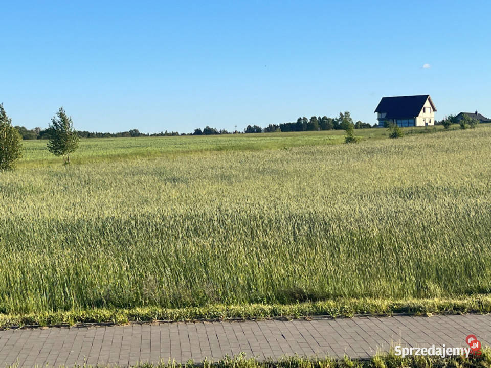 Sprzedam działka Choroszcz Białostocka 10600m2 sprzedam