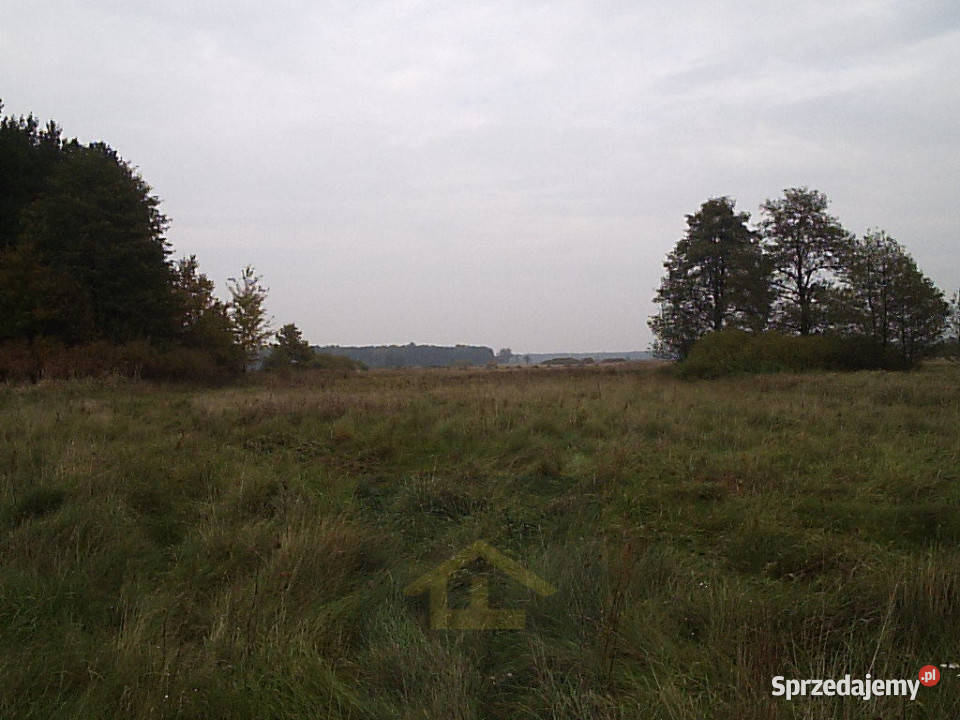 Działka w Całowaniu Gmina Karczew Całowanie sprzedam