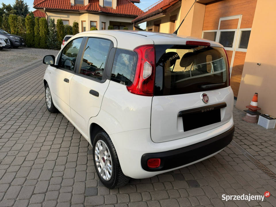 Fiat Panda Rezerwacja II 20032012 Panda Fiat Orzech