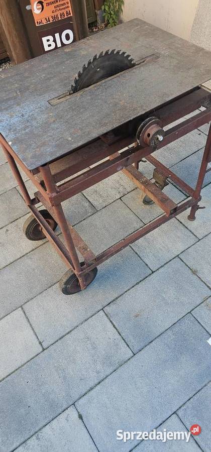 Piła stołowa krajzyga