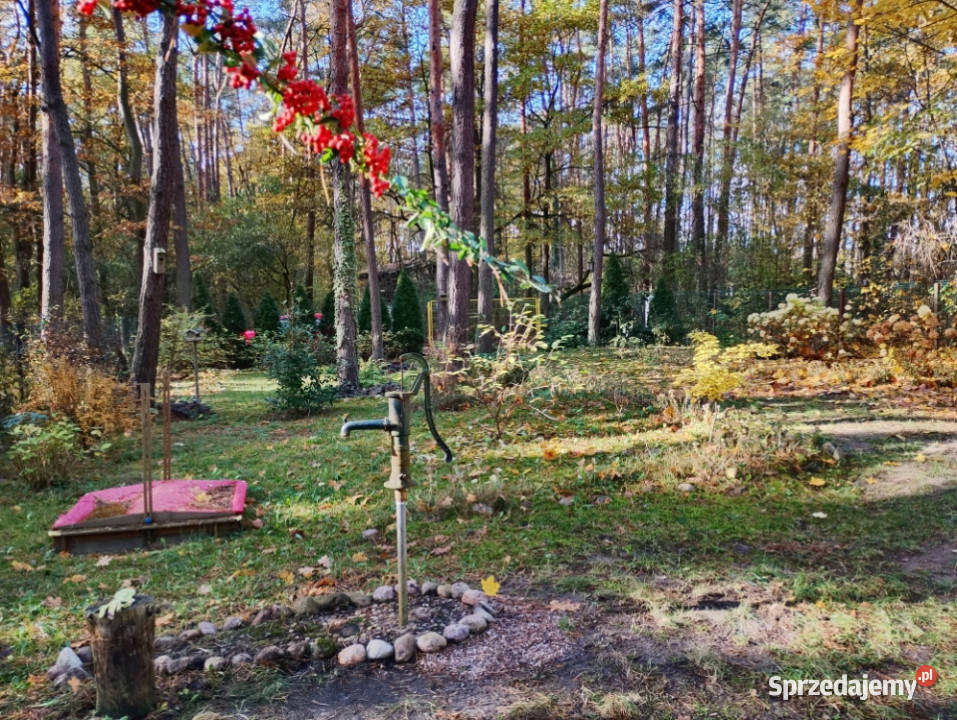 Piękną działkę Narwią sprzedam Sikory