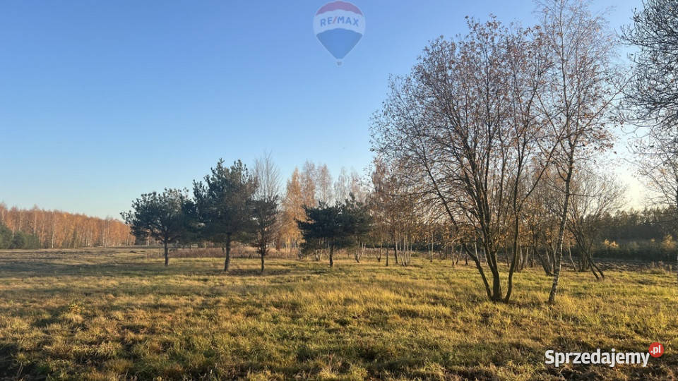 Działka budowlana 5920 Józefów gm Pniewy