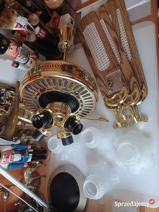 Piękna lampa wisząca z wentylatorem wielkopolskie Poznań