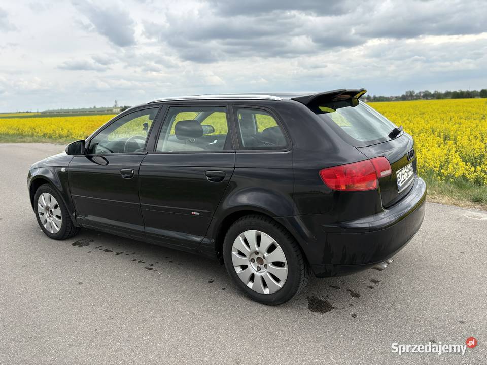Audi A3 8P 20 TDI 140 394000km