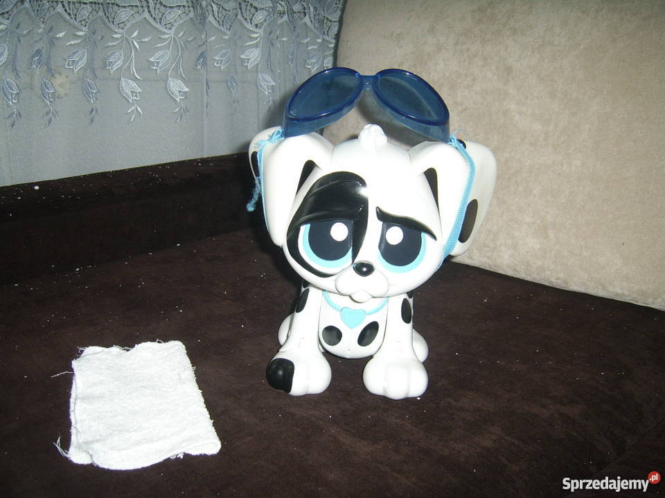 Płyń do mnie piesku Epee Sochaczew sprzedam