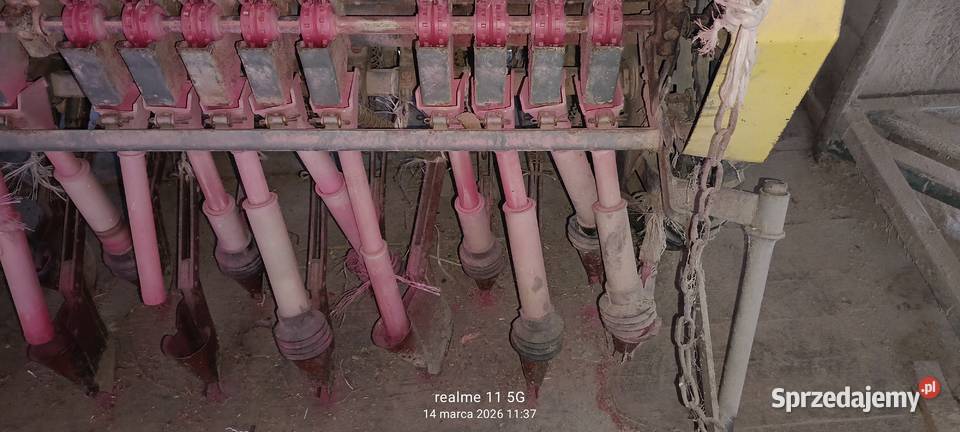 siewnik Poznaniak Giełczew