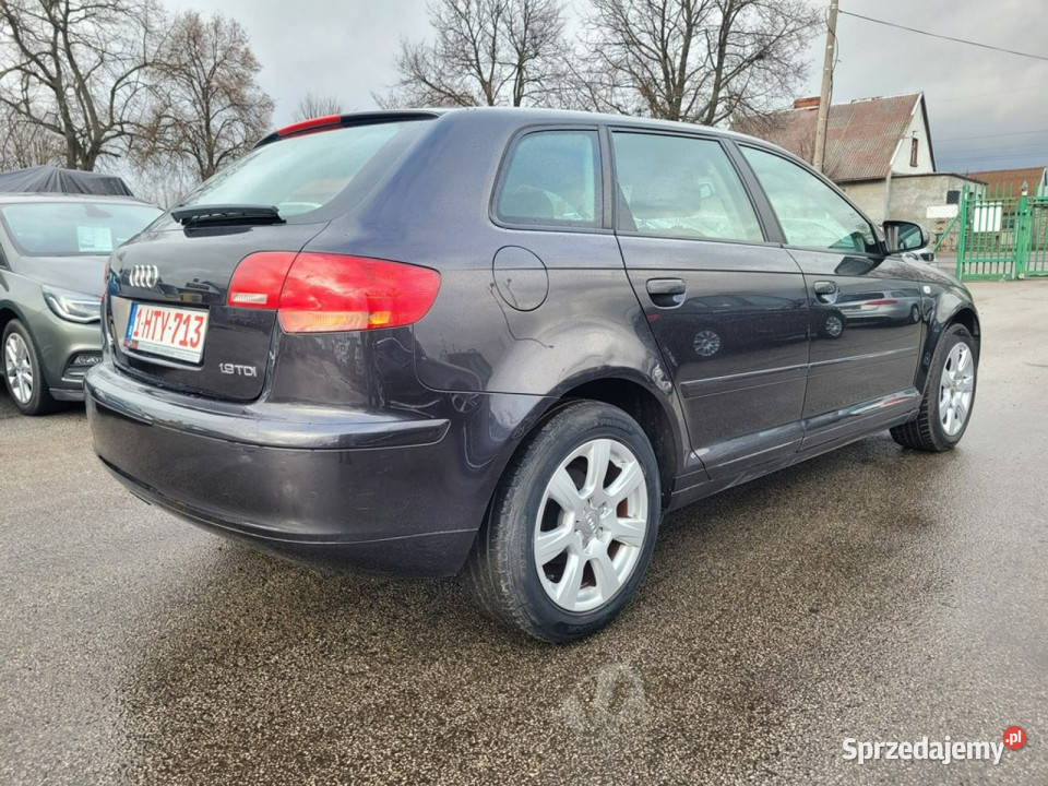 Audi A3 19TDI 105 Zarejestrowana w 8P 20032012 Gniewkowo sprzedam