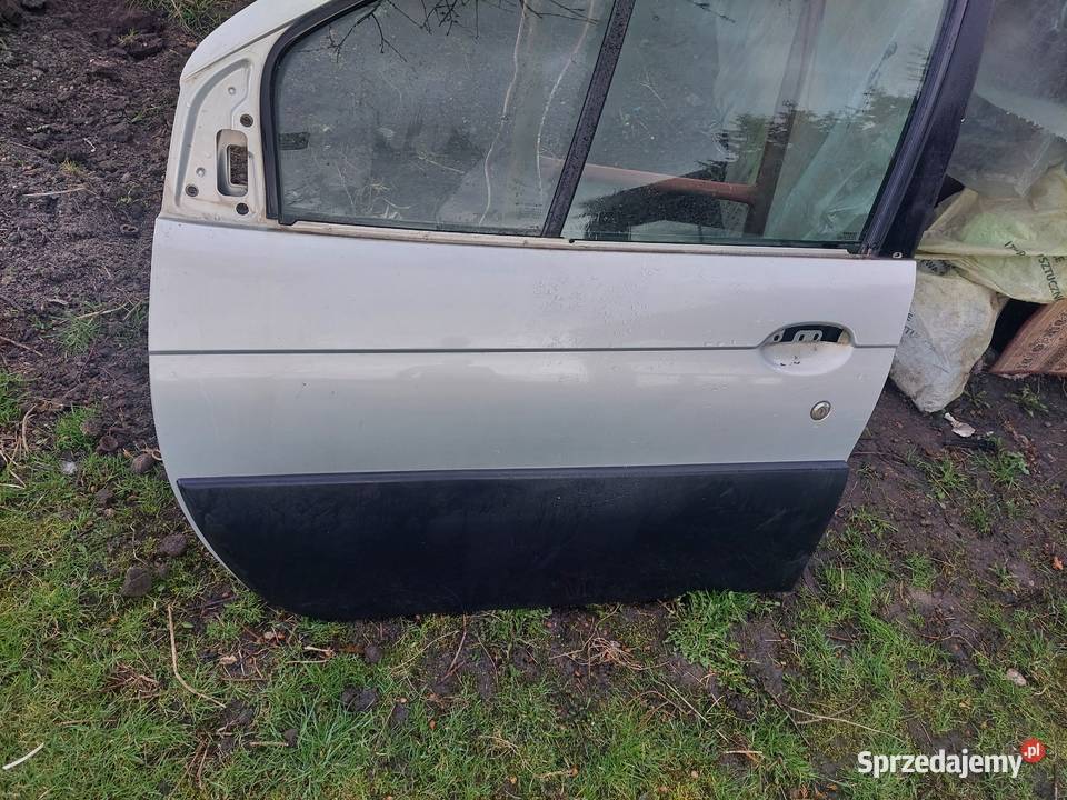 Drzwi do Renault Scenic RX4 Drzwi Puławy